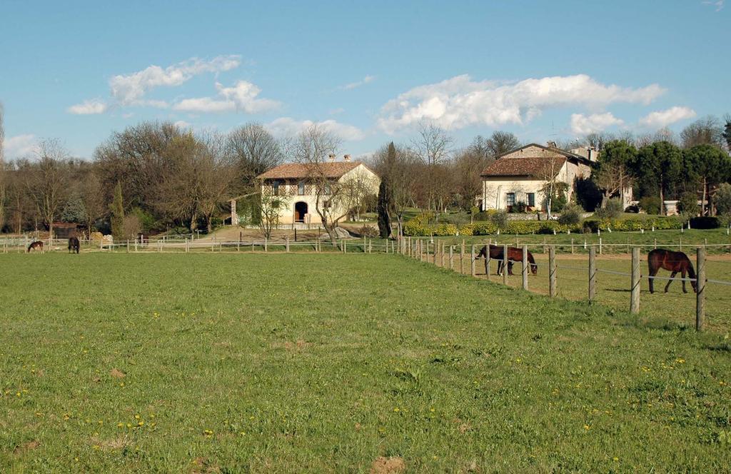 Agriturismo Trebisonda Country Resort Monzambano Exterior photo