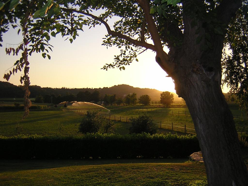 Agriturismo Trebisonda Country Resort Monzambano Exterior photo